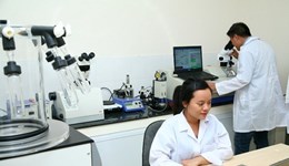 Quyết định của Đại học Quốc gia Hà Nội về việc giao cho trường ĐH Khoa học Tự nhiên tổ chức đào tạo một số ngành mới