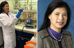 Giáo sư Việt được Liên minh quốc tế về hoá học vinh danh